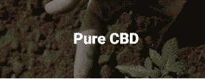 cbd hemp oil near me 