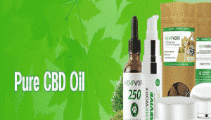 Best CBD Oil