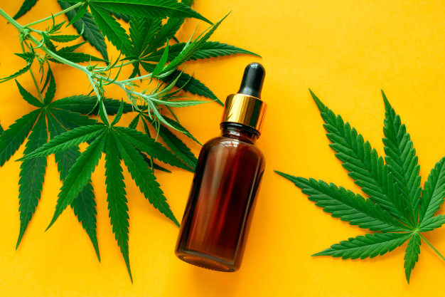 Best CBD oil for nausea