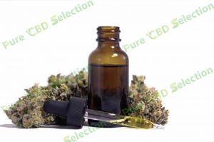 Buy CBD oil near me