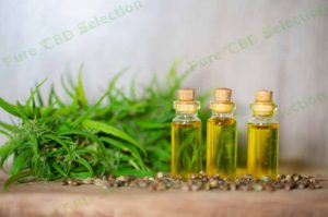 Buy CBD oil near me