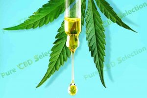 CBD oil for pain for sale