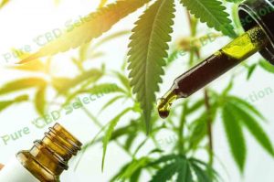 CBD oil for pain for sale