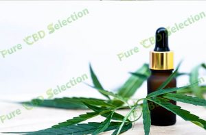 CBD oil for sale near me