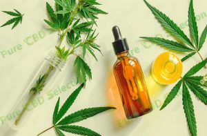 CBD oil for sale near me