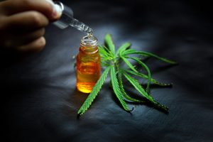 CBD oil is used