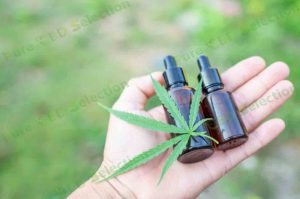 CBD vs hemp oil