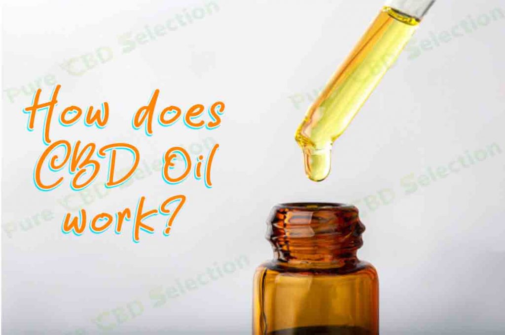 How does CBD oil work