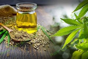 Pure cbd oil for sale