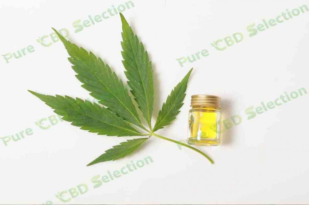 Pure CBD Oil: what is it for