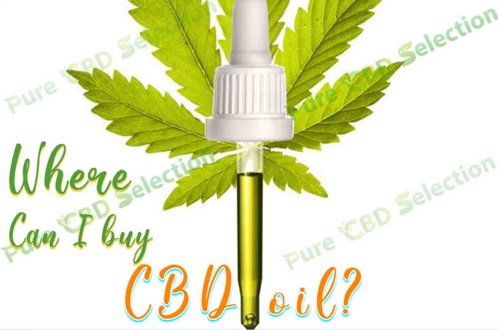 Where can I buy CBD oil