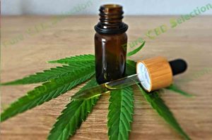 Where can I buy CBD oil