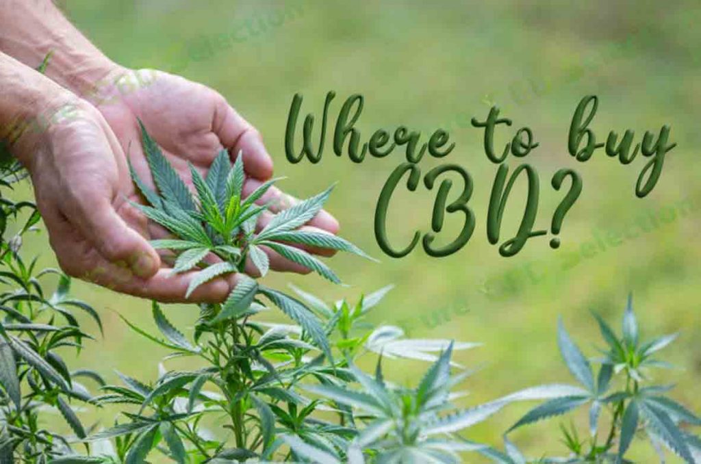 Where to buy CBD