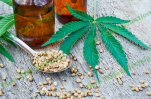 Where to buy CBD oil near me