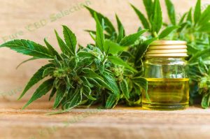 cbd oil buy