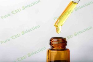 cbd oil distributors