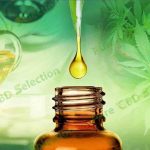 cbd oil prices