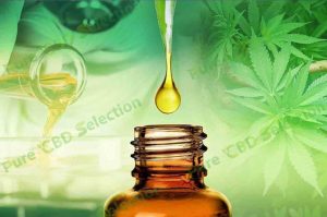 cbd oil prices