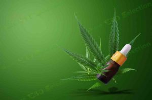 how is cbd oil made