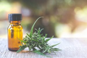 Types of CBD oils